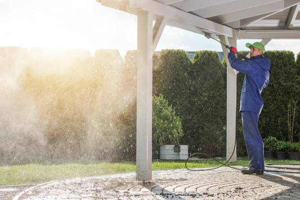 Best Driveway Pressure Washing  in Gouldtown, NJ